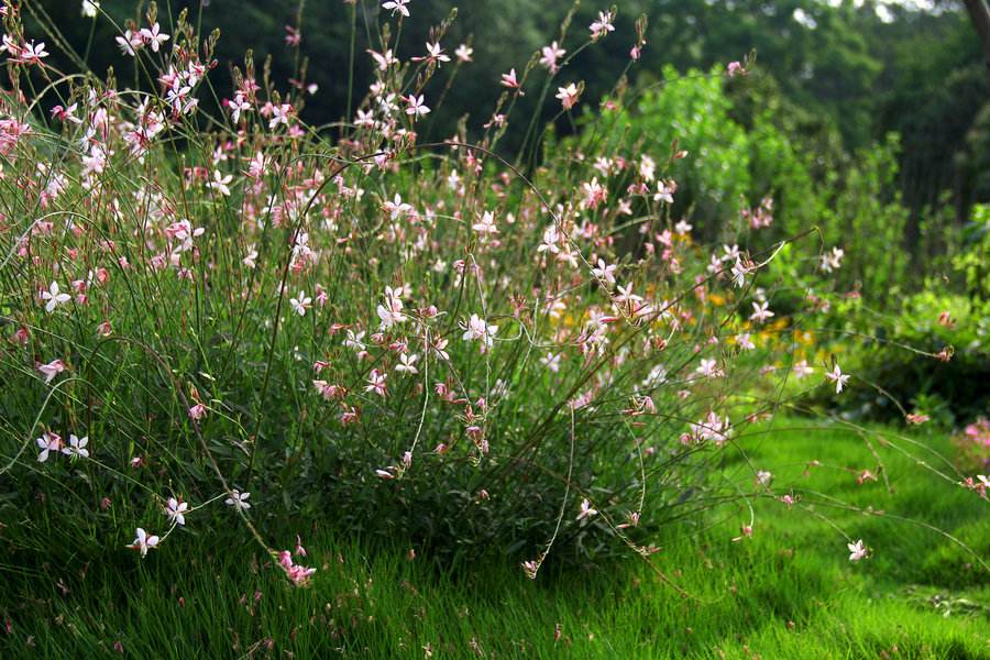 教练心得分享： 毕业墙