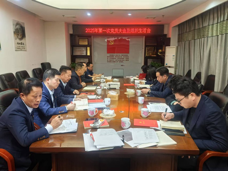 湖南交建集团党支部召开2024年度组织生活会暨民主评议党员会议