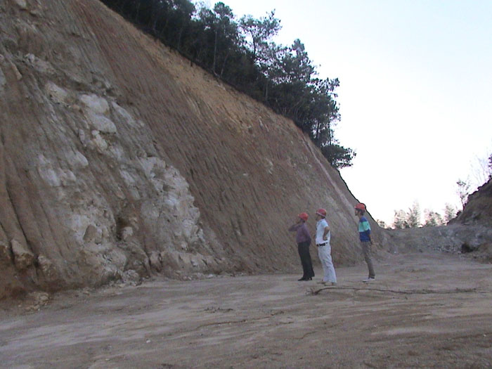 在线播放无码后入内射少妇