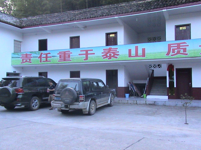 在线播放无码后入内射少妇