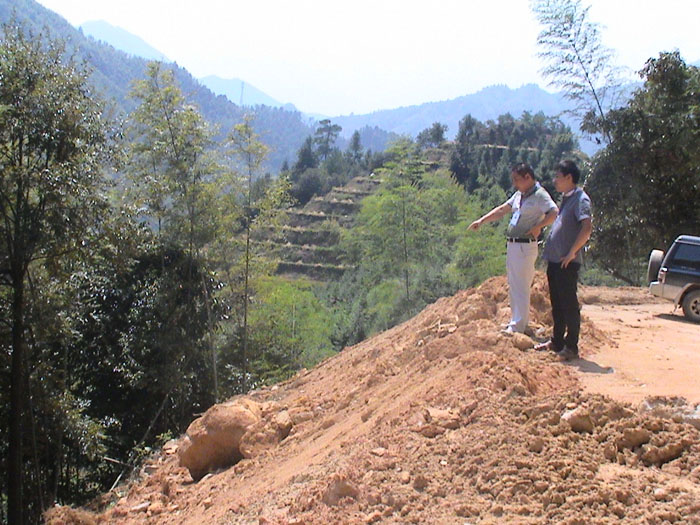 在线播放无码后入内射少妇