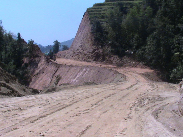 在线播放无码后入内射少妇