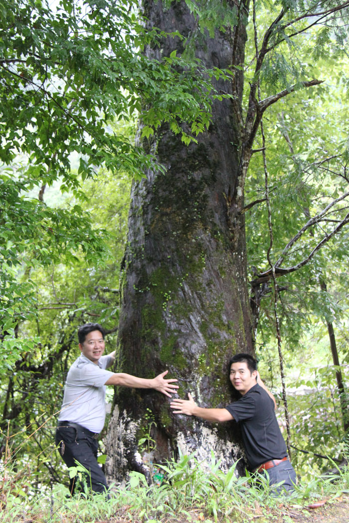 在线播放无码后入内射少妇