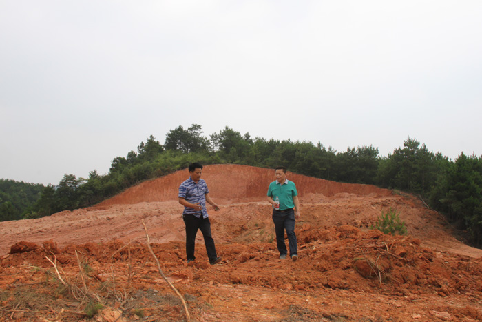 在线播放无码后入内射少妇