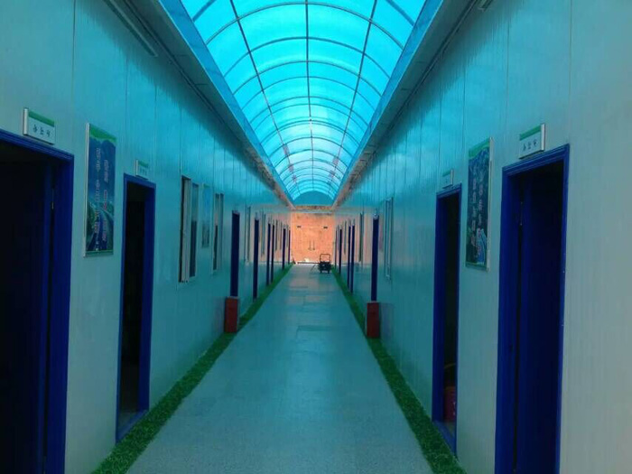 在线播放无码后入内射少妇