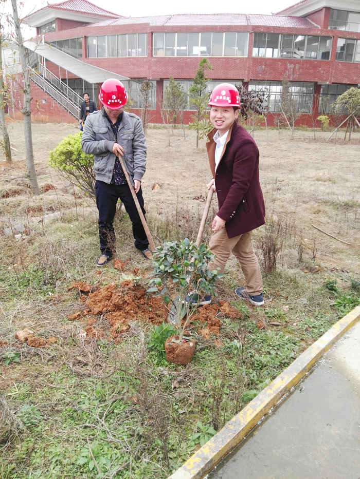 种一棵小树，绿一方净土