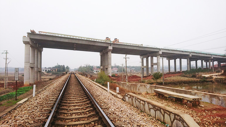 在线播放无码后入内射少妇