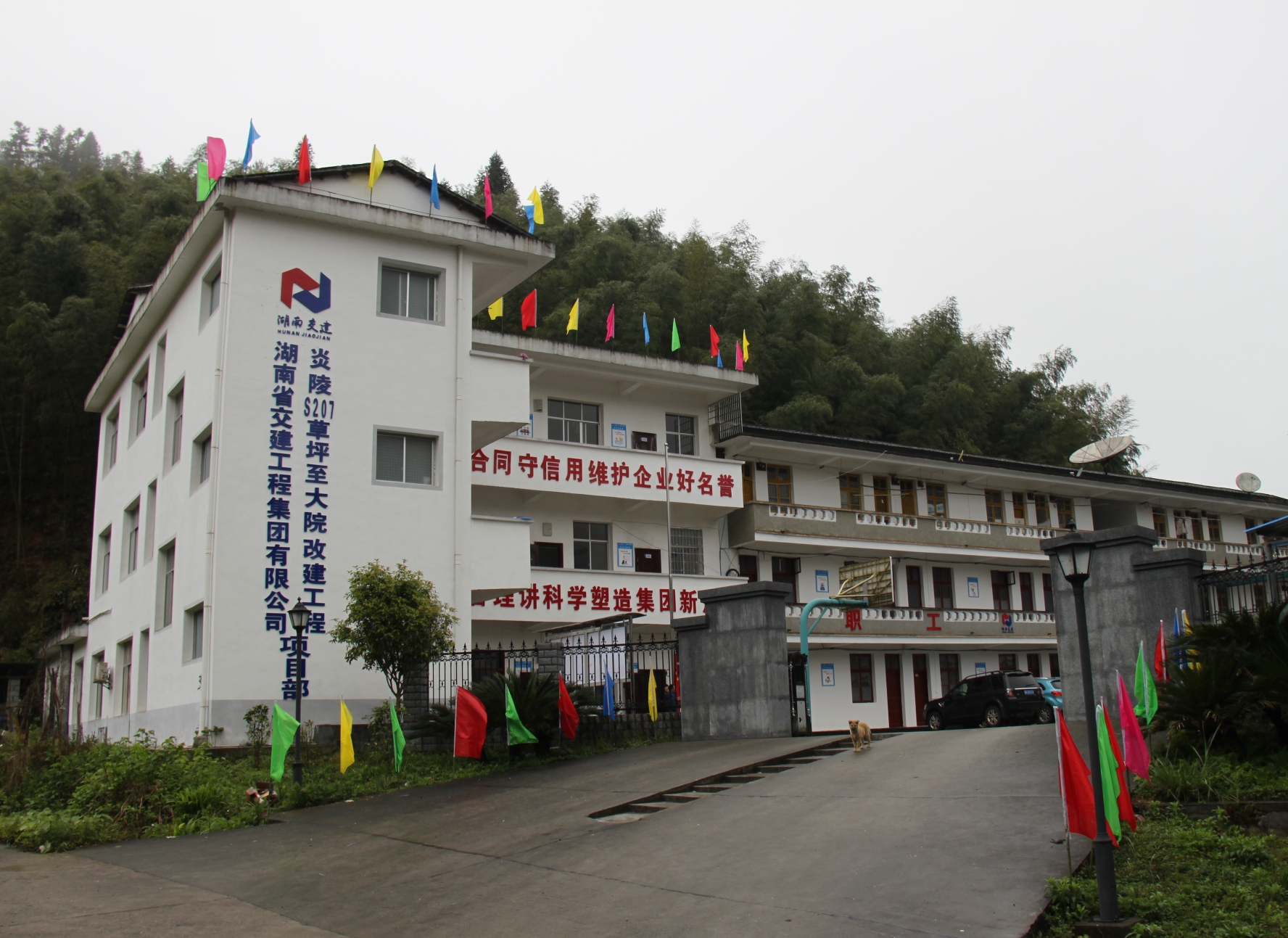 在线播放无码后入内射少妇