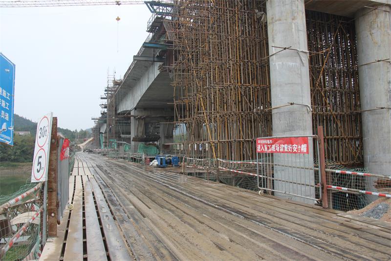 在线播放无码后入内射少妇