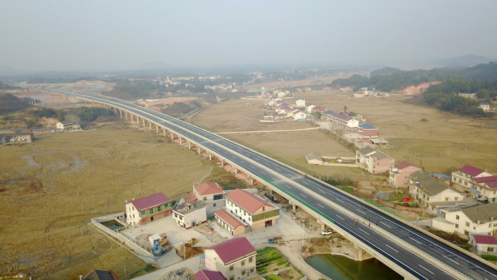 在线播放无码后入内射少妇