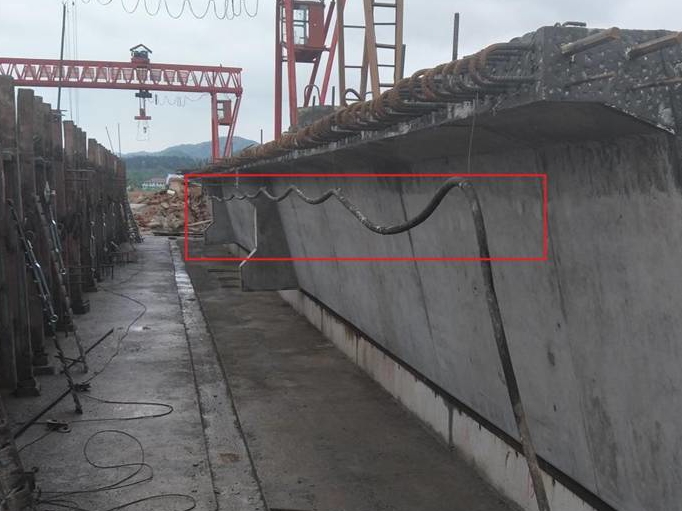 在线播放无码后入内射少妇