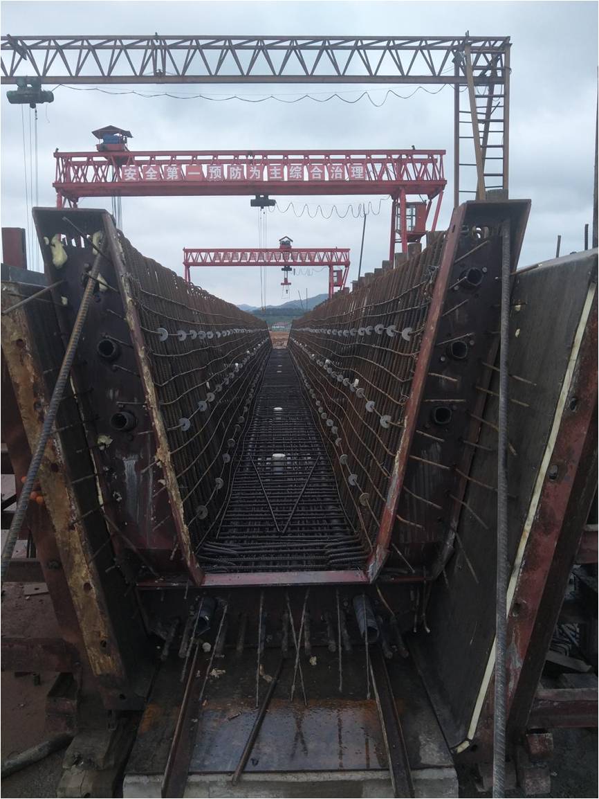 在线播放无码后入内射少妇